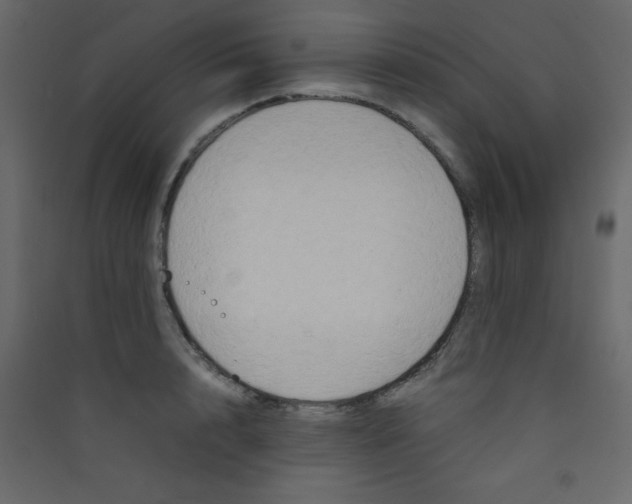 X0000089430848200707131843