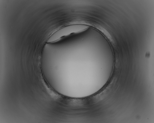 X0000089430849200707131843