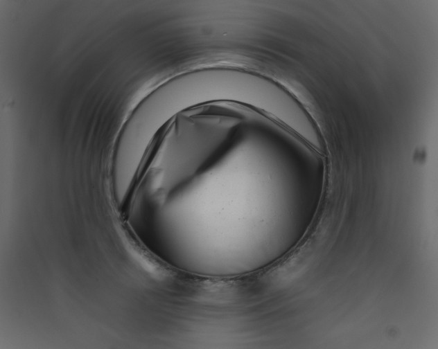 X0000089430850200707131843