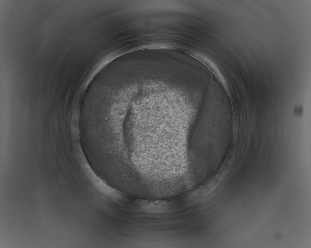 X0000089430851200707131843