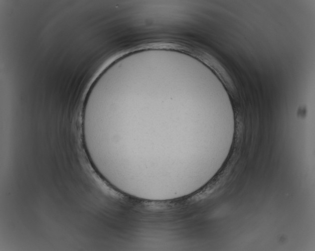 X0000089430852200707131843