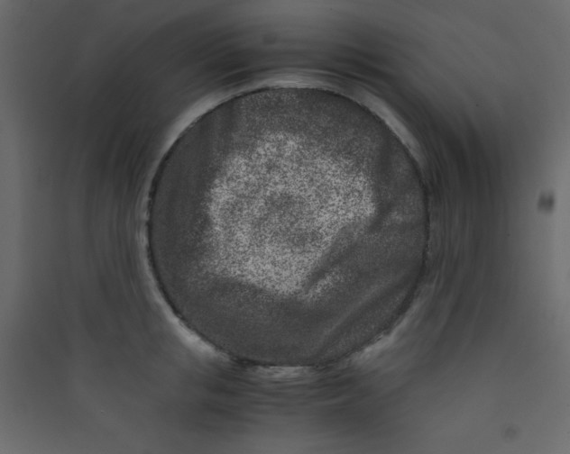 X0000089430853200707131843