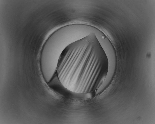 X0000089430854200707131843