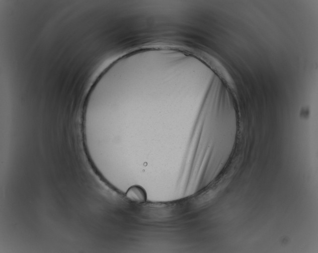 X0000089430855200707131843