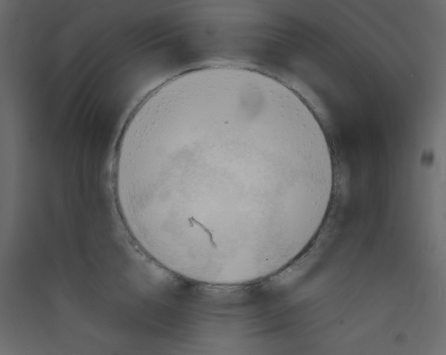 X0000089430856200707131843