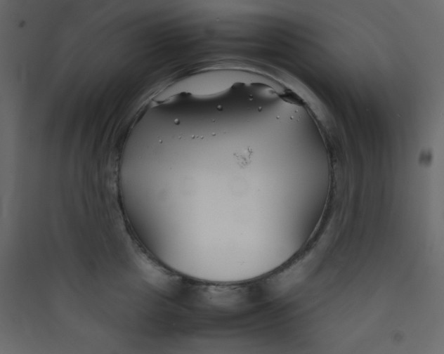 X0000089430857200707131843
