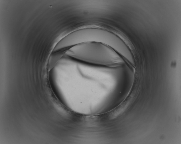 X0000089430858200707131843