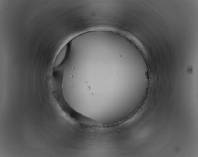 X0000089430860200707131843