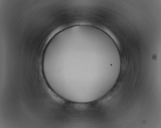 X0000089430861200707131843