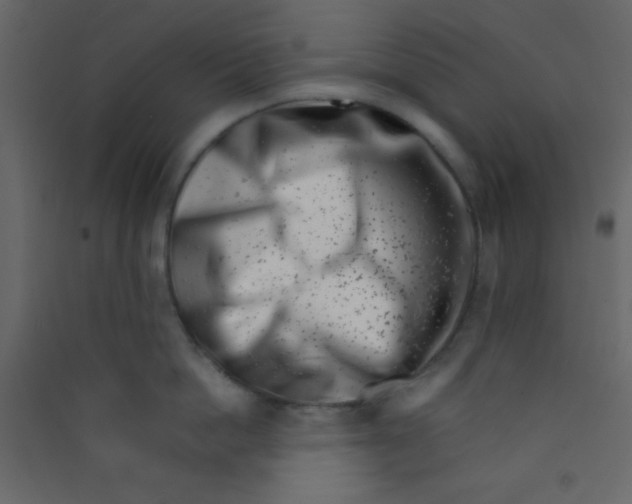 X0000089430862200707131843