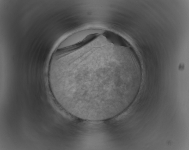 X0000089430864200707131843