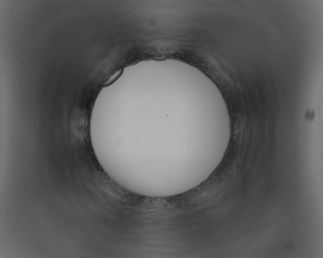 X0000089430866200707131842
