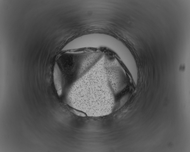 X0000089430868200707131842