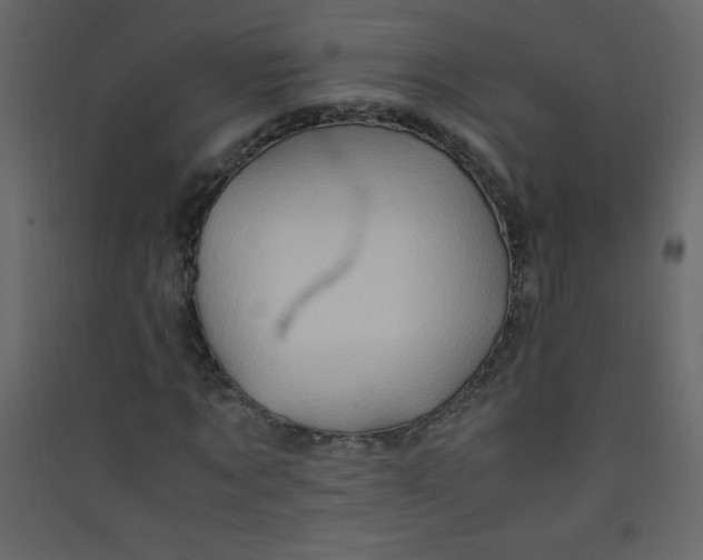 X0000089430869200707131842