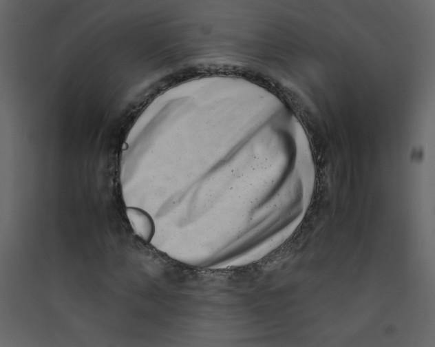 X0000089430870200707131842