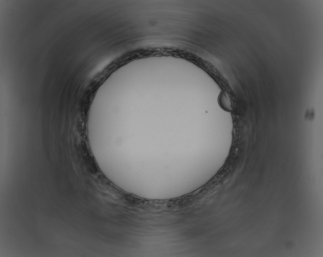 X0000089430871200707131842