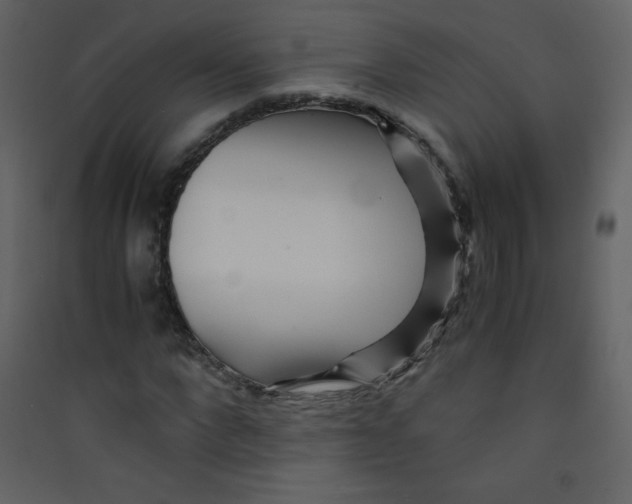 X0000089430872200707131842