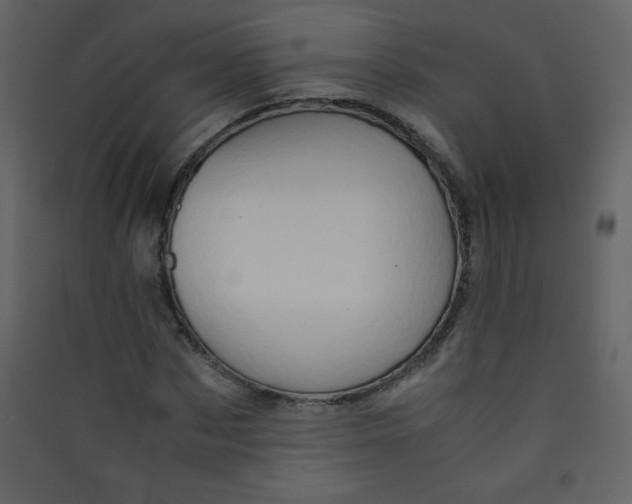 X0000089430873200707131842