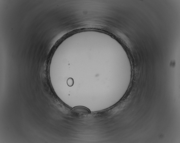 X0000089430875200707131842