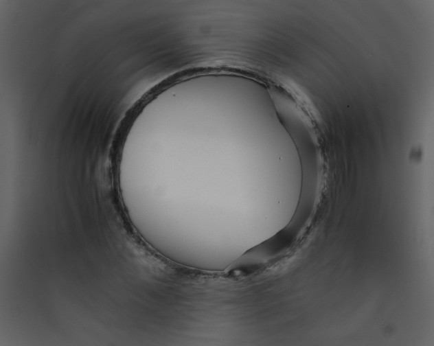 X0000089430876200707131842