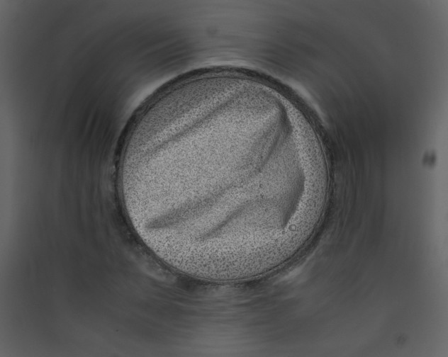 X0000089430879200707131842