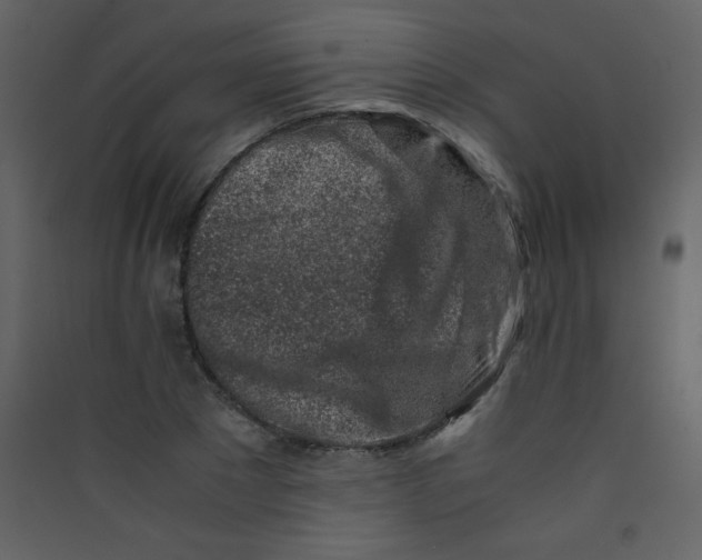 X0000089430881200707131842