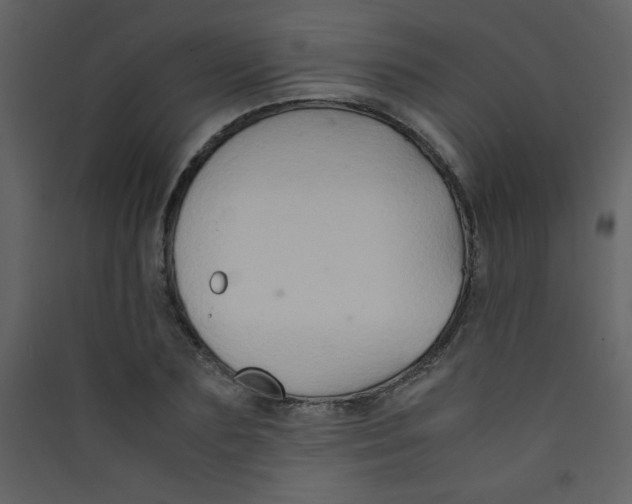 X0000089430883200707131842