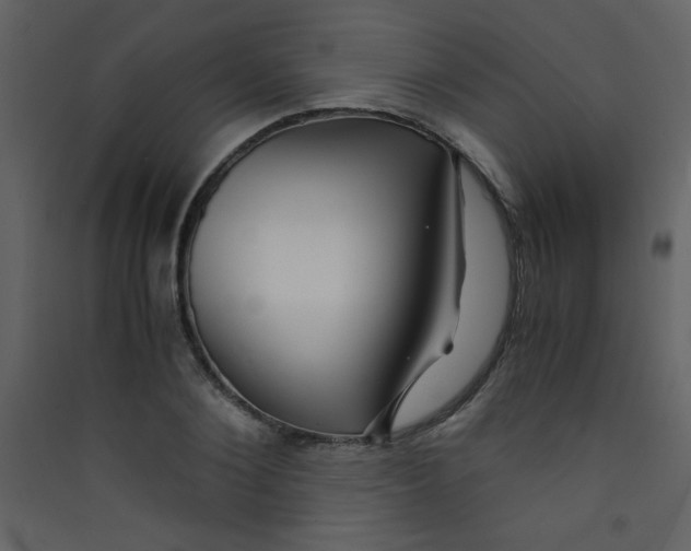X0000089430884200707131842