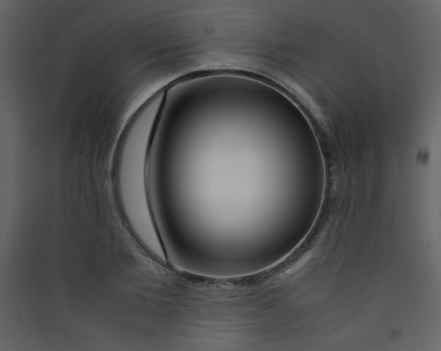 X0000089430885200707131842