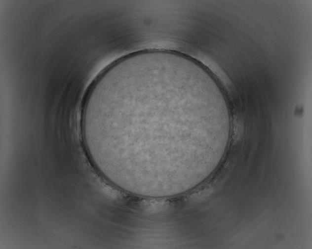 X0000089430886200707131842