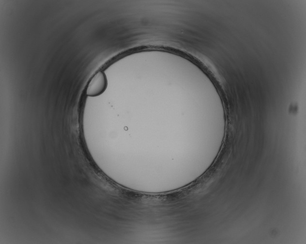 X0000089430887200707131842