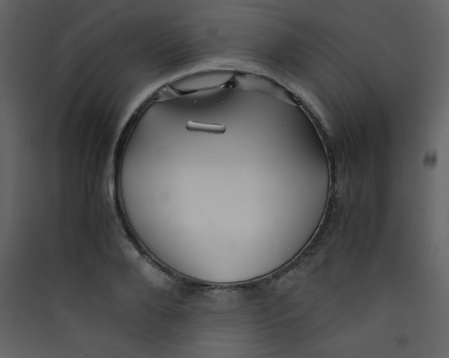 X0000089430888200707131842