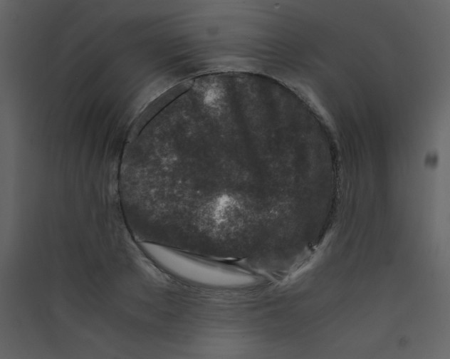 X0000089430889200707131842
