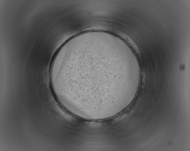 X0000089430890200707131842