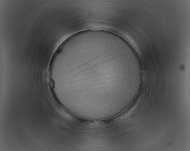 X0000089430891200707131842