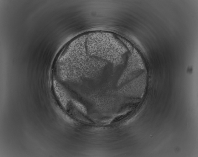 X0000089430892200707131842