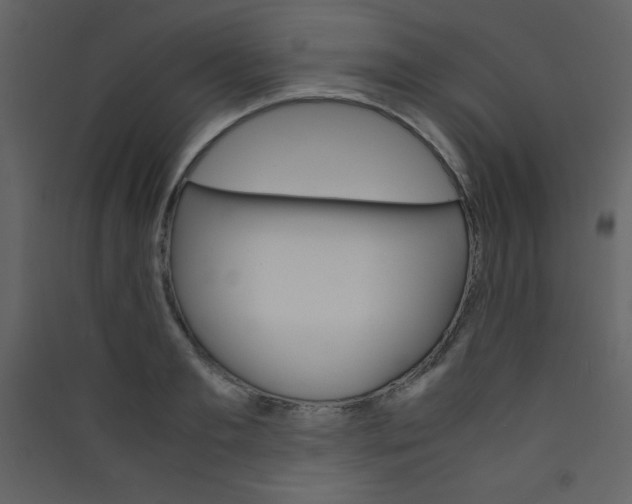 X0000089430893200707131842