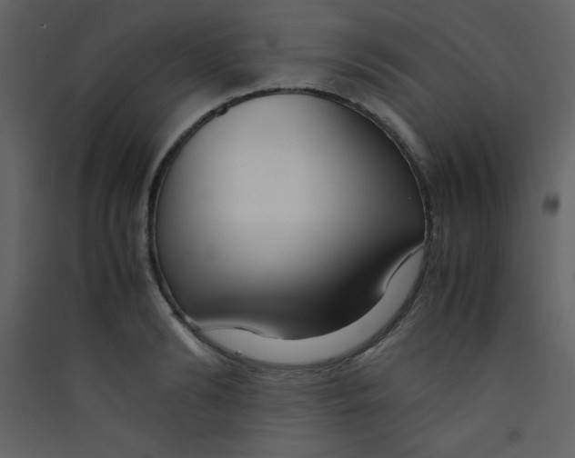 X0000089430894200707131842
