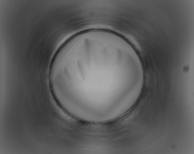 X0000089430895200707131842