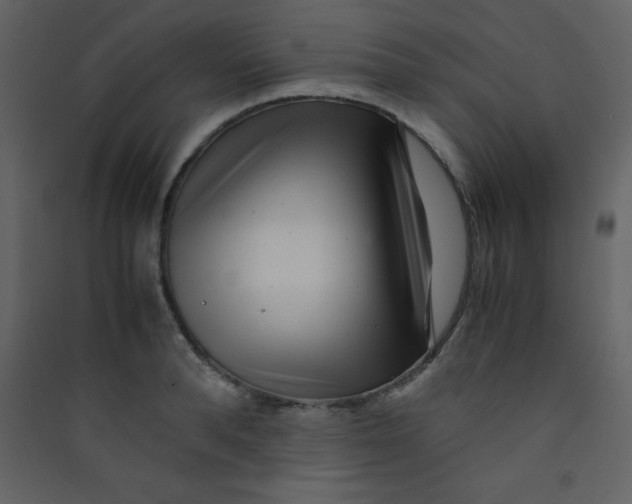 X0000089430896200707131842