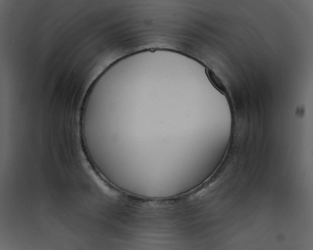 X0000089430898200707131842