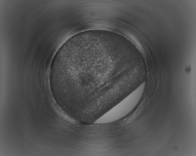 X0000089430899200707131842