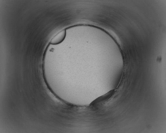X0000089430903200707131842