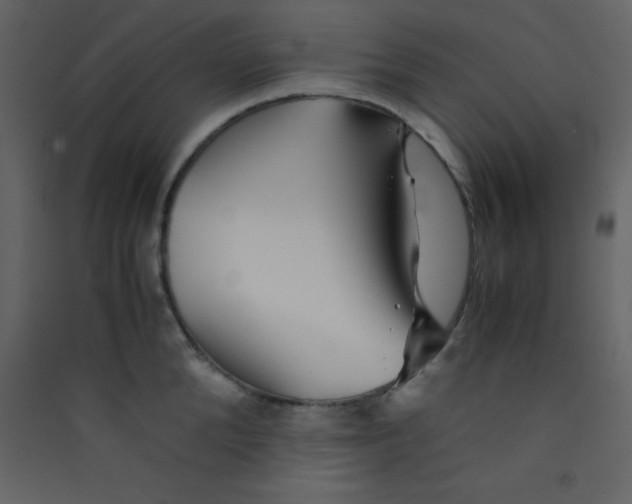 X0000089430904200707131842