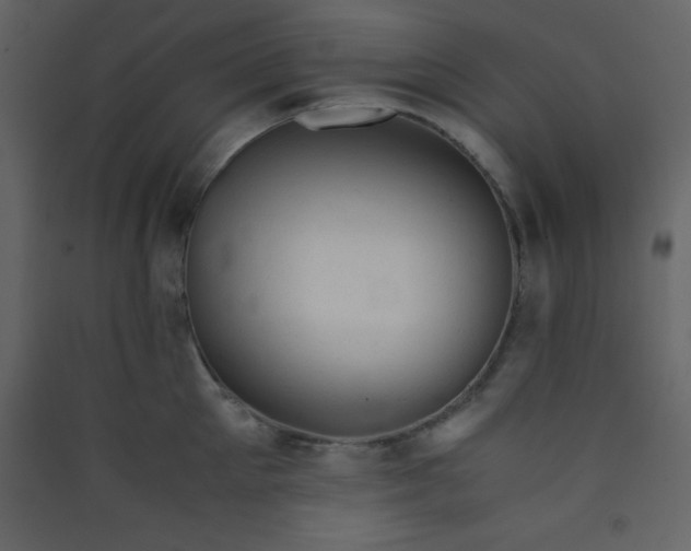 X0000089430905200707131842