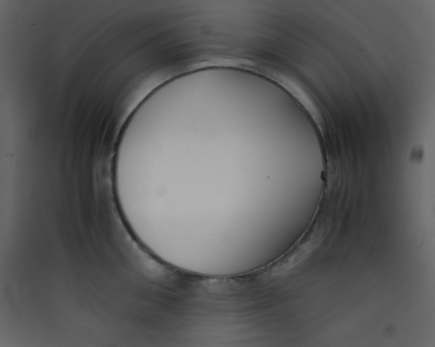 X0000089430906200707131841