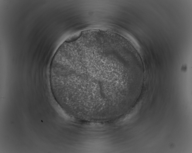 X0000089430907200707131841