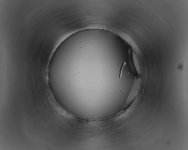 X0000089430908200707131841