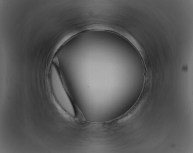 X0000089430909200707131841