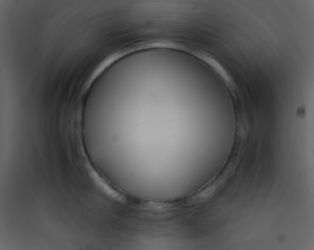 X0000089430910200707131841